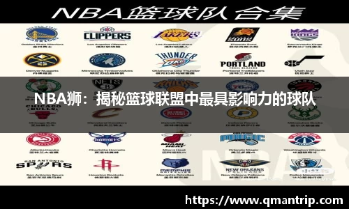 NBA狮：揭秘篮球联盟中最具影响力的球队